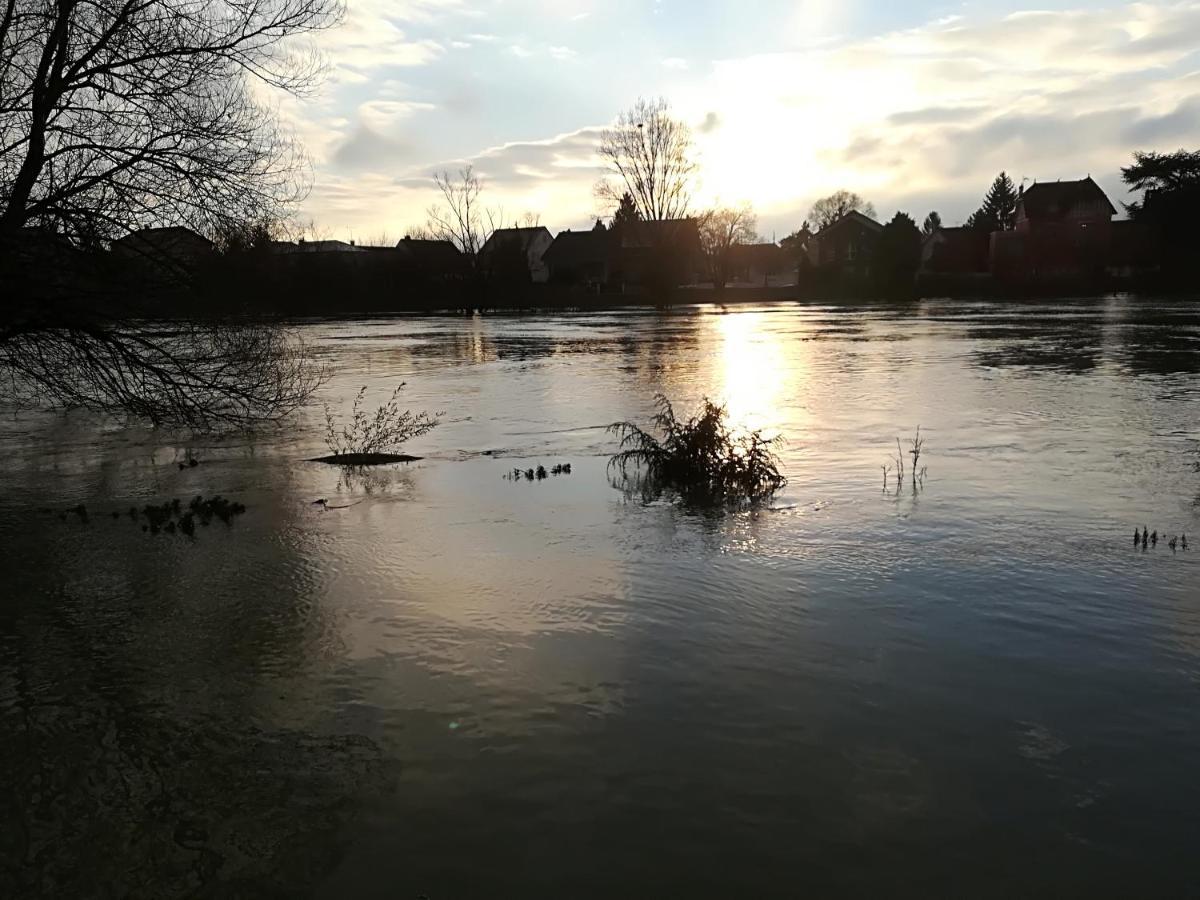 Bed and Breakfast Les Pingouins De La Marne Le Perreux-Sur-Marne Exterior foto