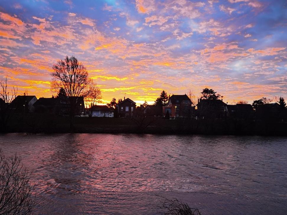 Bed and Breakfast Les Pingouins De La Marne Le Perreux-Sur-Marne Exterior foto